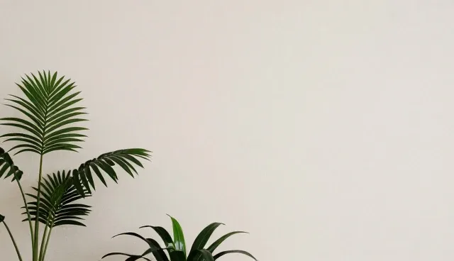 如何选择商务服务支持?选型关注点有哪些?